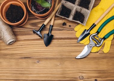 Composition with flowers and gardening tools with space for text on the wooden background